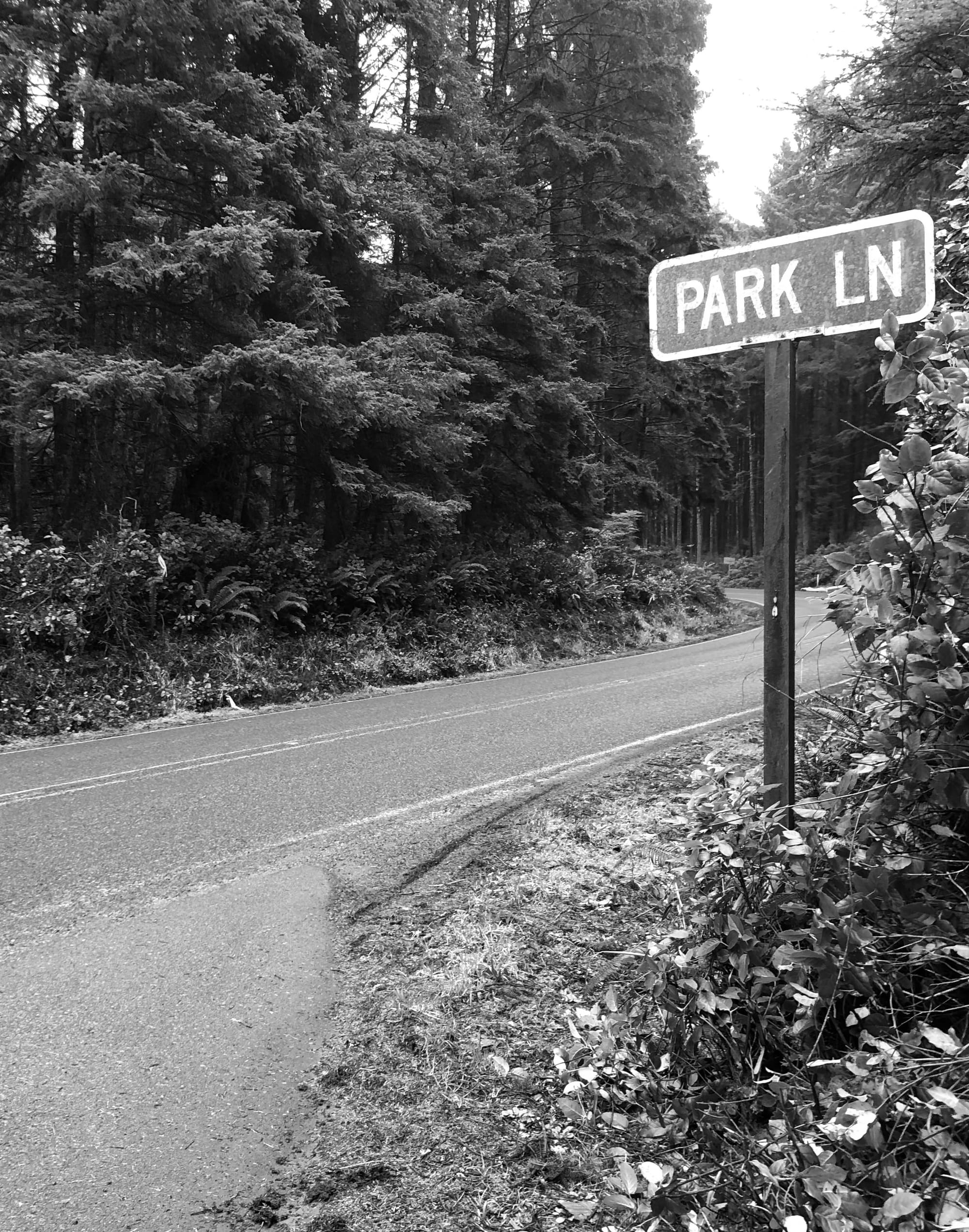 Web Address & Junk Folder Issues